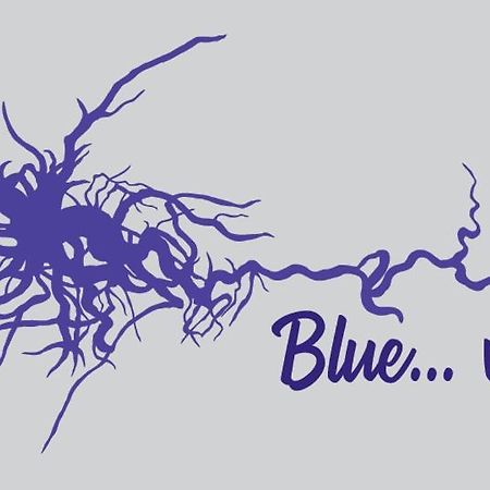 Blue...Violet Apartment Нафплион Екстериор снимка