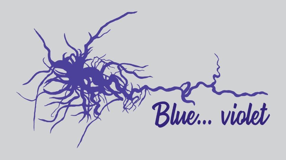 Blue...Violet Apartment Нафплион Екстериор снимка